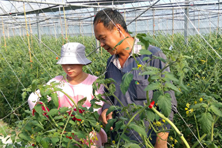 重慶時尚姑娘嫁到台灣成農夫 移民署助行銷